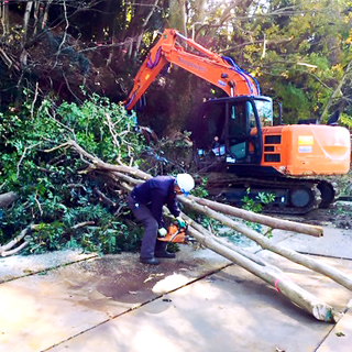 伐採　整備工事