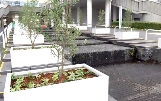 植栽 横浜市みなとみらい