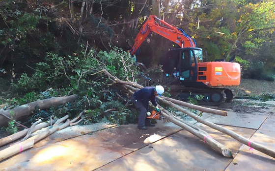 伐採　整備工事 宮沢三丁目特別緑地保全地区ほか