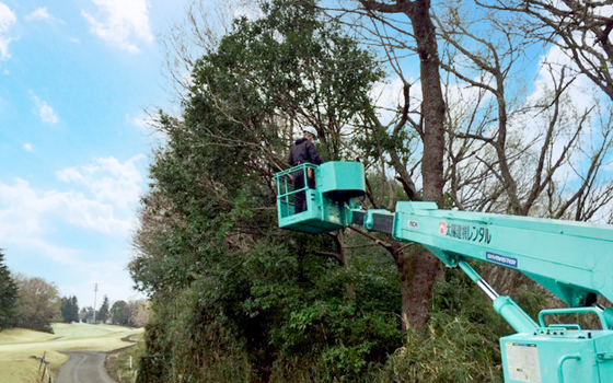 伐採　越境枝選定 東京国際ゴルフ倶楽部様